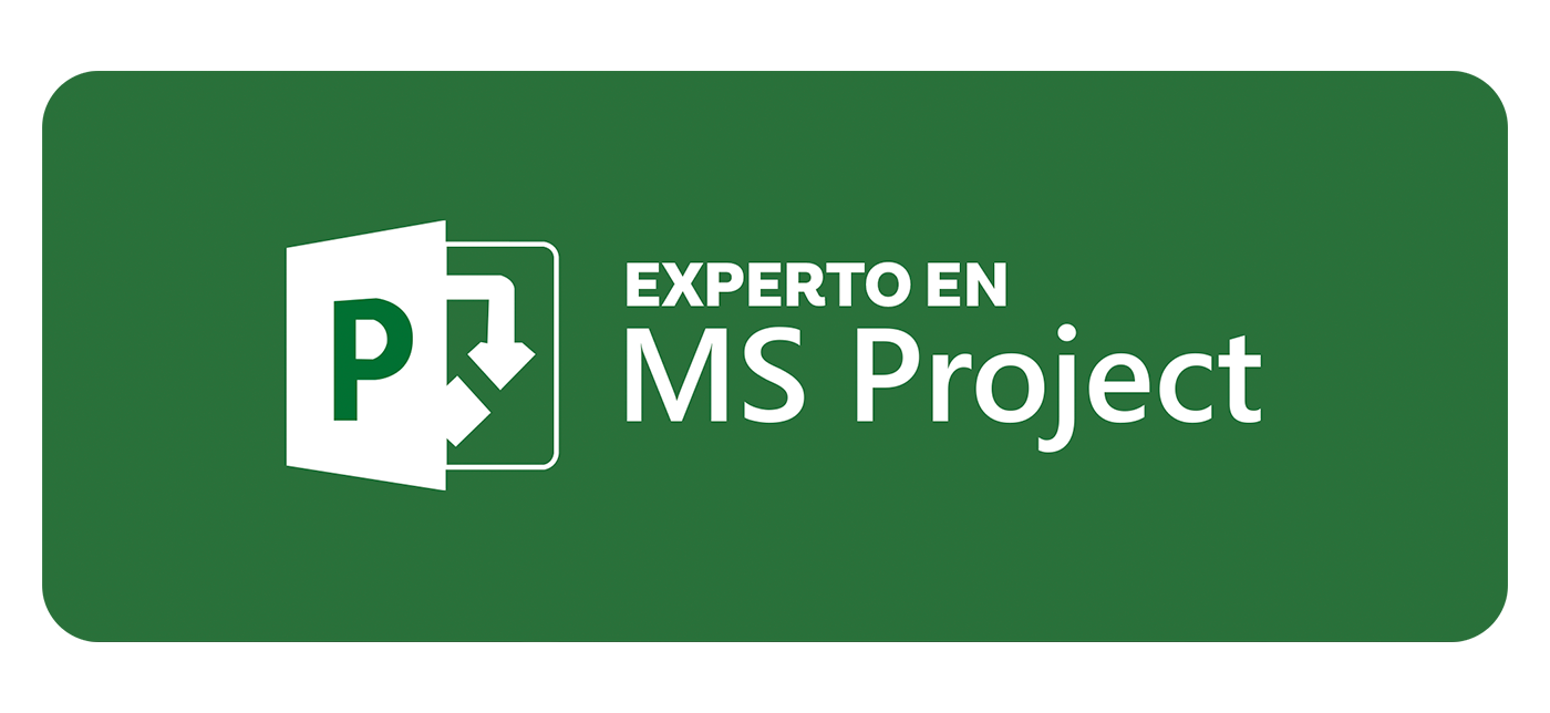 MS Project Gestión De Proyectos – ACTI